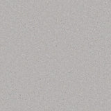 Silver carpet with subtle speckled texture in soft pile finish | Home Centre Direct UK