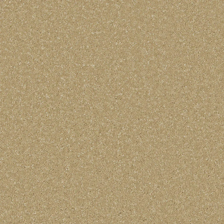 Warm sandy beige carpet with fine speckled texture | Home Centre Direct UK