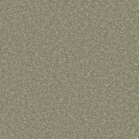 Olive green carpet with a soft, dense texture | Home Centre Direct UK