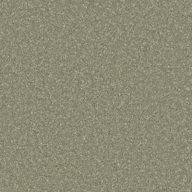 Olive green carpet with a soft, dense texture | Home Centre Direct UK