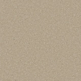 Beige textured carpet with a dense, even loop pile | Home Centre Direct UK