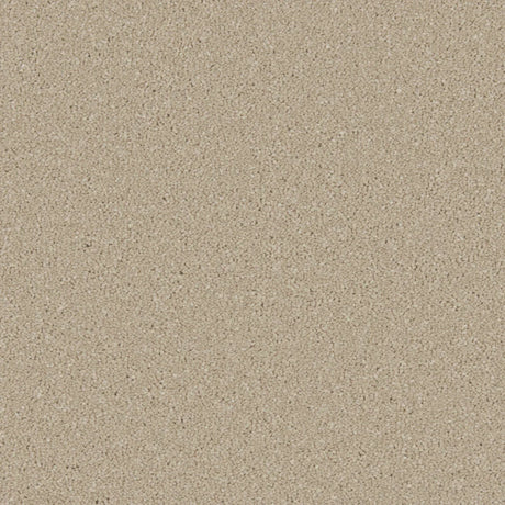 Beige textured carpet with a dense, even loop pile | Home Centre Direct UK