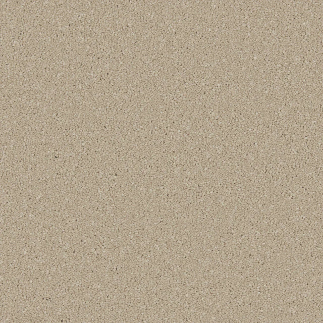 Beige textured carpet with a dense, even loop pile | Home Centre Direct UK